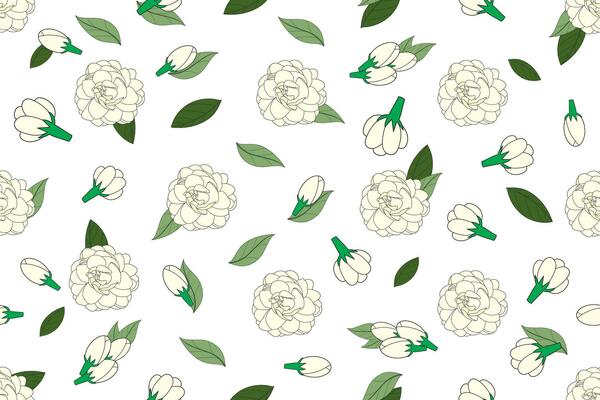 Jasmine Flower Vector Art, Icons, and Graphics for Free Download