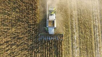 Harvester harvests corn. Collect corn cobs with the help of a co photo