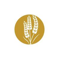 Agriculture wheat logo vector template symbol design