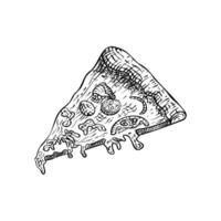 mano dibujado sabroso delicioso Pizza rebanada aislado en blanco antecedentes vector