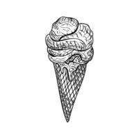 Hand drawn cone ice cream isolated on white background vector