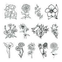 Organic flower sketch with leaves in doodle style icon set collection. vector