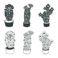 Vector collection of hand drawn cactus with flower sketch set collection in doodle style isolated on a white background.