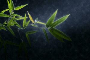 Green bamboo leaves in the rains. photo