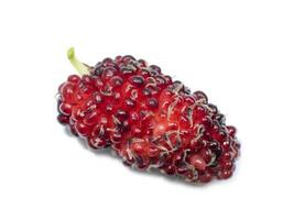 fresh organic mulberry photo