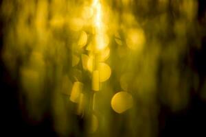 abstract blurred defocus circular bokeh lights background photo