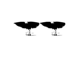 Pair of The Black Heron Bird, Egretta Ardesiaca, also known as the Black Egret Silhouette for Art Illustration, Logo, Pictogram, Website, or Graphic Design Element. Vector Illustration