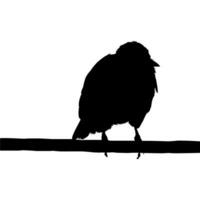 Silhouette of the Bird Perched on the Electrical Wire Base on my Photography. Vector Illustration