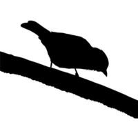 Bird Perched on the Branch of the Tree Silhouette. Vector Illustration