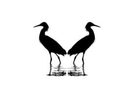 Pair of The Black Heron Bird, Egretta Ardesiaca, also known as the Black Egret Silhouette for Art Illustration, Logo, Pictogram, Website, or Graphic Design Element. Vector Illustration