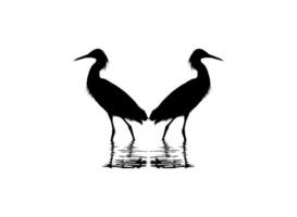 Pair of The Black Heron Bird, Egretta Ardesiaca, also known as the Black Egret Silhouette for Art Illustration, Logo, Pictogram, Website, or Graphic Design Element. Vector Illustration