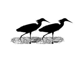 Pair of The Black Heron Bird, Egretta Ardesiaca, also known as the Black Egret Silhouette for Art Illustration, Logo, Pictogram, Website, or Graphic Design Element. Vector Illustration