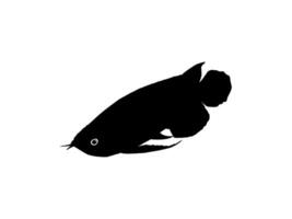 silueta de el arowana o Arwana además conocido como continuar pez, para Arte ilustración, logo tipo, pictograma, sitio web o gráfico diseño elemento. vector ilustración