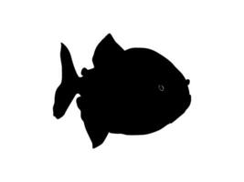 Piranha Fish Silhouette, can use for Logo Gram, Website, Art Illustration, Pictogram, Icon or Graphic Design Element. Vector Illustration