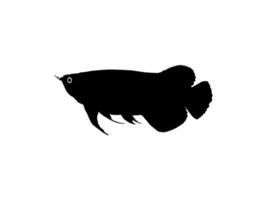 Silhouette of the Arowana or Arwana also known as Dragon Fish, for Art Illustration, Logo Type, Pictogram, Website or Graphic Design Element. Vector Illustration