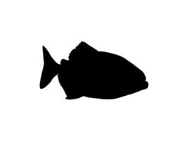 Piranha Fish Silhouette, can use for Logo Gram, Website, Art Illustration, Pictogram, Icon or Graphic Design Element. Vector Illustration