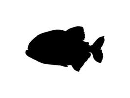 Piranha Fish Silhouette, can use for Logo Gram, Website, Art Illustration, Pictogram, Icon or Graphic Design Element. Vector Illustration