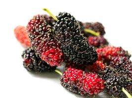 Fresh organic mulberry. photo