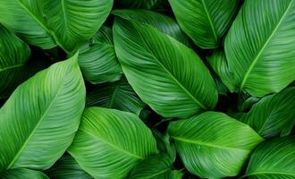 AI generated a close up of a large green leaf photo