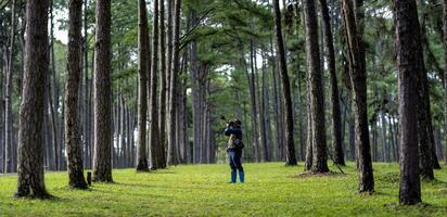 Photographer is taking photo of the new discovering bird species while exploring in the pine forest for surveying and locating rare biological diversity and ecologist on field study usage
