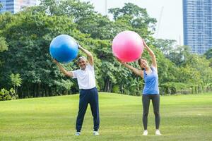 Senior asian man and his daughter are exercising with yoga ball in the public park to build core body muscle for elder longevity exercise and outdoor workout photo