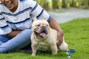 linda francés buldog perrito es jugando fuera de en el césped en Correa con propietario dentro el perro parque foto