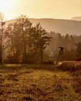 Landscape shot of a raised hide in nature with the sun behind and lens flare photo