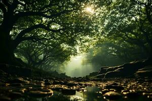 AI generated A serene forest scene with a small creek running through it. The sun is shining through the trees, creating a dappled light effect on the ground. The trees are tall and their leaves photo