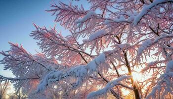 ai generado nieve cubierto árbol con amanecer en fondo foto