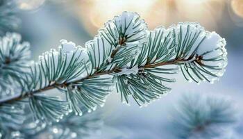 ai generado nieve cubierto pino rama en luz de sol foto