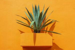 Tropical pineapple plant growing in square concrete pot on orange background. photo