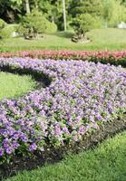 escénico ver de un hermosa flor estilo paisaje jardín con un verde cortado césped y vistoso flor cama con selectivo atención foto