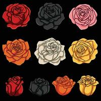 Rose flower element vector illustration