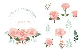 pink rose object element set with leaf.illustration vector for postcard,sticker