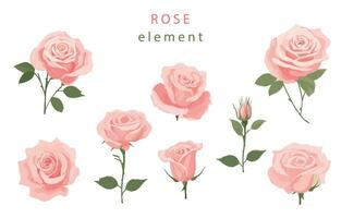 pink rose object element set with leaf.illustration vector for postcard,sticker