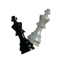 blanco y negro Rey ajedrez pedazo foto