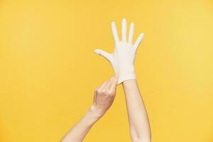 Studio photo of young raised woman's hands posing over orange background, keeping all fingers separately while putting on white rubber glove with other hand