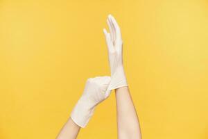 Indoor photo of raised female's hands taking on white rubber gloves while preparing for cleaning house, posing over orange background. Human hands concept