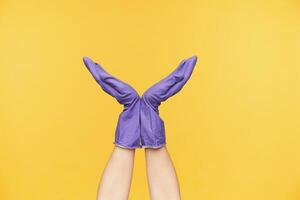 Indoor picture of two hands being folded together with palms up while posing over yellow background in violet rubber gloves, making fun while cleaning the house photo