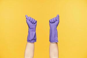 Horizontal shot of raised lady's hands dressed in violet rubber gloves being isolated against yellow background, going to clean house on her weekend photo