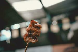 Hand holding grilled pork in bamboo stick photo