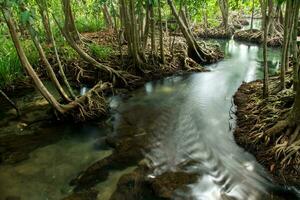 increíble naturaleza, verde agua en el bosque. krabi, tailandia foto