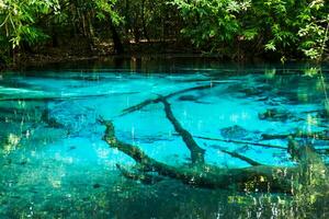 Amazing nature, Blue pond in the forest. Krabi, Thailand. photo