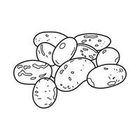 Hand drawn Kids drawing vector Illustration pinto beans in a cartoon style Isolated on White Background
