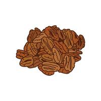 Kids drawing vector Illustration pecans in a cartoon style Isolated on White Background