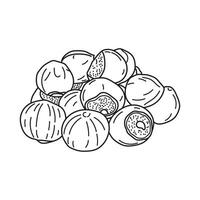 Hand drawn Kids drawing vector Illustration hazelnuts in a cartoon style Isolated on White Background