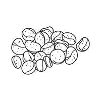 Hand drawn Kids drawing vector Illustration kola nuts in a cartoon style Isolated on White Background