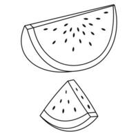 Watermelon Palestine Symbol for Peaceful Country . Green, White, Red, Black. Fresh Watermelon Fruit vector