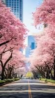 AI generated Cherry Blossom Avenue photo