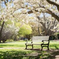 AI generated A peaceful image of a lone park bench nestled among blooming trees and lush greenery, photo